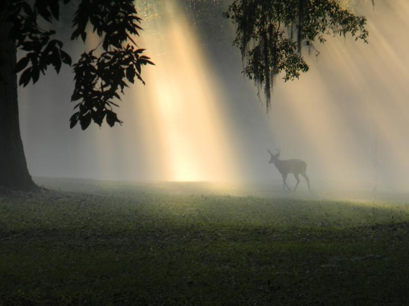 Took this December 2012, a rare moment